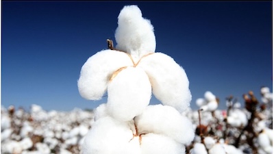 ERGOFITair Matratzenbezug