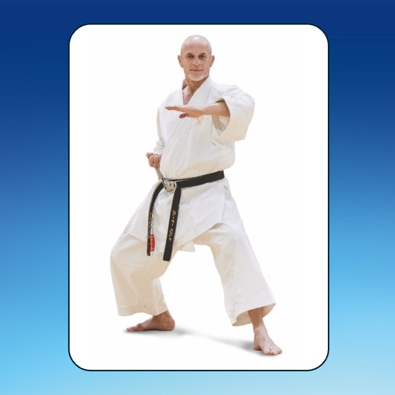 ERGOFIT Bewertung beste orthopädische Matratze