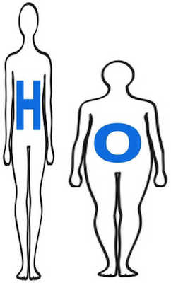 unterschiedliche Körperformen